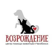 Приют для бездомных животных ВОЗРОЖДЕНИЕ